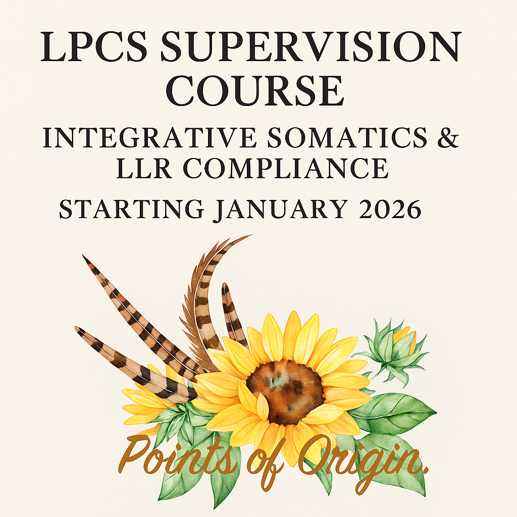 LPCS Supervision Training | January 2026 Cohort | LLR Supervision Court